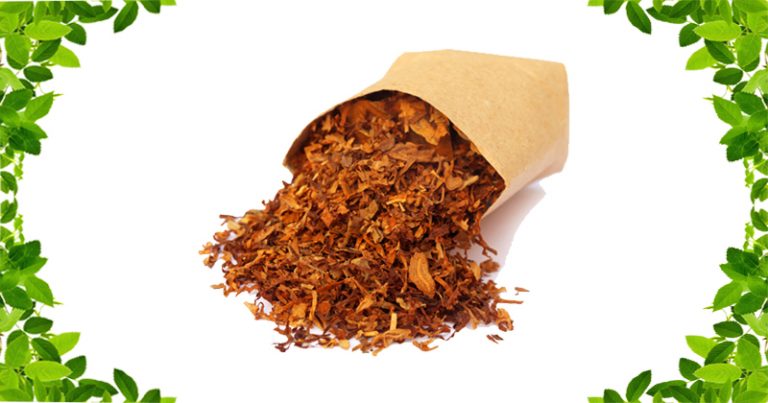 तम्बाकू के गुण और उससे होने वाले आयुर्वेदिक इलाज