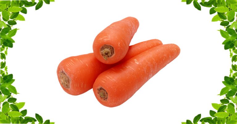 गाजर के गुण और उससे होने वाले आयुर्वेदिक इलाज